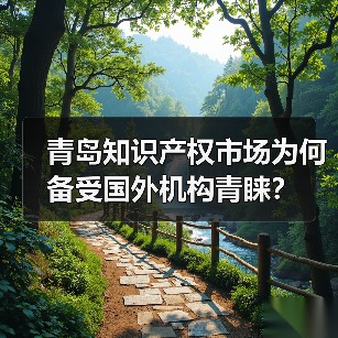 青岛知识产权市场为何备受国外机构青睐?-图5 青岛知识产权市场为何备受国外机构青睐?-图5