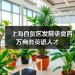 上海自贸区发展亟需百万商务英语人才-图5
