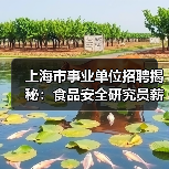上海市事业单位招聘揭秘：食品安全研究员薪资待遇解析-图4
