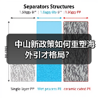中山新政策如何重塑海外引才格局?-图5 中山新政策如何重塑海外引才格局?-图5