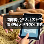 河南省试点人才芯片工程 破解大学生就业难题-图3 河南省试点人才芯片工程 破解大学生就业难题-图3