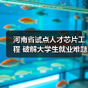 河南省试点人才芯片工程 破解大学生就业难题-图5 河南省试点人才芯片工程 破解大学生就业难题-图5