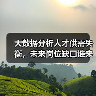 大数据分析人才供需失衡,未来岗位缺口谁来填补?-图3 大数据分析人才供需失衡,未来岗位缺口谁来填补?-图3