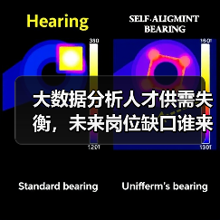 大数据分析人才供需失衡,未来岗位缺口谁来填补?-图5 大数据分析人才供需失衡,未来岗位缺口谁来填补?-图5