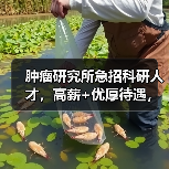 肿瘤研究所急招科研人才,高薪+优厚待遇,欢迎加入!-图3 肿瘤研究所急招科研人才,高薪+优厚待遇,欢迎加入!-图3
