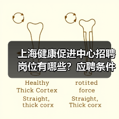 上海健康促进中心招聘岗位有哪些？应聘条件全解析-图4