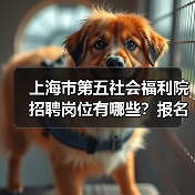上海市第五社会福利院招聘岗位有哪些?报名条件全解析-图3 上海市第五社会福利院招聘岗位有哪些?报名条件全解析-图3