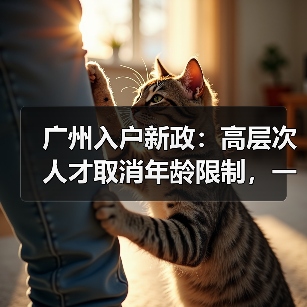 广州入户新政：高层次人才取消年龄限制，一线人员机会增多-图5