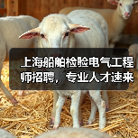 上海船舶检验电气工程师招聘,专业人才速来应聘-图3 上海船舶检验电气工程师招聘,专业人才速来应聘-图3