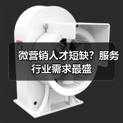微营销人才短缺?服务行业需求最盛-图3 微营销人才短缺?服务行业需求最盛-图3