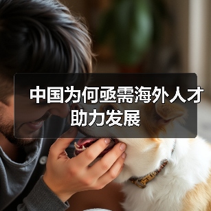 中国为何亟需海外人才助力发展-图4