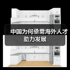 中国为何亟需海外人才助力发展-图6