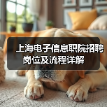 上海电子信息职院招聘岗位及流程详解-图4 上海电子信息职院招聘岗位及流程详解-图4