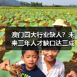 澳门四大行业缺人？未来三年人才缺口达三成以上-图6
