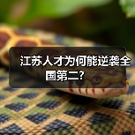 江苏人才为何能逆袭全国第二?-图5 江苏人才为何能逆袭全国第二?-图5