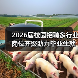 2026届校园招聘多行业岗位齐聚助力毕业生就业-图4 2026届校园招聘多行业岗位齐聚助力毕业生就业-图4