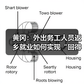黄冈:外出务工人员返乡就业如何实现“回得来、留得住”?-图4 黄冈:外出务工人员返乡就业如何实现“回得来、留得住”?-图4