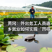 黄冈:外出务工人员返乡就业如何实现“回得来、留得住”?-图5 黄冈:外出务工人员返乡就业如何实现“回得来、留得住”?-图5