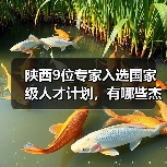 陕西9位专家入选国家级人才计划,有哪些杰出人才上榜?-图4 陕西9位专家入选国家级人才计划,有哪些杰出人才上榜?-图4