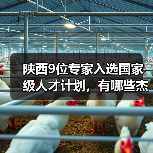 陕西9位专家入选国家级人才计划,有哪些杰出人才上榜?-图6 陕西9位专家入选国家级人才计划,有哪些杰出人才上榜?-图6
