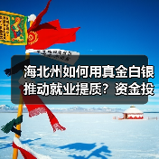 海北州如何用真金白银推动就业提质？资金投入全解析-图6