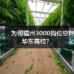 为何福州3000岗位空降华东高校?-图3 为何福州3000岗位空降华东高校?-图3