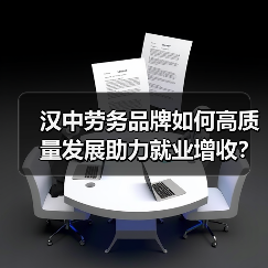 汉中劳务品牌如何高质量发展助力就业增收?-图3 汉中劳务品牌如何高质量发展助力就业增收?-图3