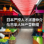 日本严控人才派遣中介 在日华人盼严管新规-图5 日本严控人才派遣中介 在日华人盼严管新规-图5