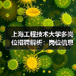 上海工程技术大学多岗位招聘解析:岗位信息与申请方法-图3 上海工程技术大学多岗位招聘解析:岗位信息与申请方法-图3