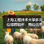 上海工程技术大学多岗位招聘解析:岗位信息与申请方法-图5 上海工程技术大学多岗位招聘解析:岗位信息与申请方法-图5
