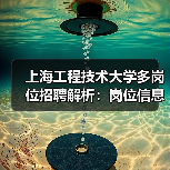 上海工程技术大学多岗位招聘解析:岗位信息与申请方法-图6 上海工程技术大学多岗位招聘解析:岗位信息与申请方法-图6