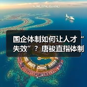 国企体制如何让人才“失效”?唐骏直指体制瓶颈-图3 国企体制如何让人才“失效”?唐骏直指体制瓶颈-图3