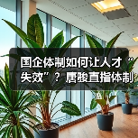 国企体制如何让人才“失效”?唐骏直指体制瓶颈-图4 国企体制如何让人才“失效”?唐骏直指体制瓶颈-图4