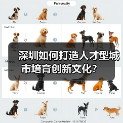 深圳如何打造人才型城市培育创新文化?-图3 深圳如何打造人才型城市培育创新文化?-图3