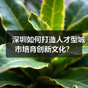 深圳如何打造人才型城市培育创新文化?-图4 深圳如何打造人才型城市培育创新文化?-图4