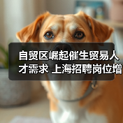 自贸区崛起催生贸易人才需求 上海招聘岗位增长10%背后的真相-图4 自贸区崛起催生贸易人才需求 上海招聘岗位增长10%背后的真相-图4