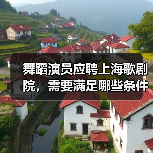 舞蹈演员应聘上海歌剧院,需要满足哪些条件?流程全解析-图6 舞蹈演员应聘上海歌剧院,需要满足哪些条件?流程全解析-图6
