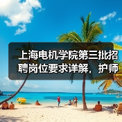 上海电机学院第三批招聘岗位要求详解，护师岗位条件全面解析-图4