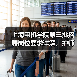上海电机学院第三批招聘岗位要求详解，护师岗位条件全面解析-图6