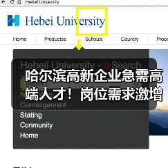 哈尔滨高新企业急需高端人才！岗位需求激增-图4