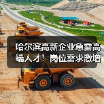 哈尔滨高新企业急需高端人才！岗位需求激增-图3