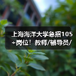 上海海洋大学急招105+岗位!教师/辅导员/技术岗全面开放-图3 上海海洋大学急招105+岗位!教师/辅导员/技术岗全面开放-图3