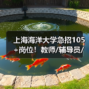 上海海洋大学急招105+岗位!教师/辅导员/技术岗全面开放-图6 上海海洋大学急招105+岗位!教师/辅导员/技术岗全面开放-图6