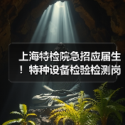 上海特检院急招应届生！特种设备检验检测岗位有哪些？-图4