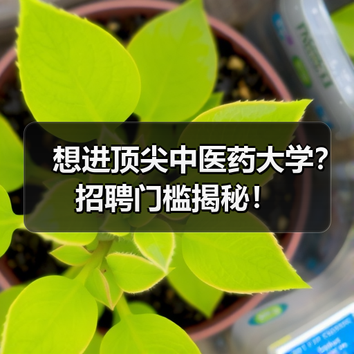 想进顶尖中医药大学？招聘门槛揭秘！-图3