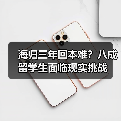 海归三年回本难?八成留学生面临现实挑战-图4 海归三年回本难?八成留学生面临现实挑战-图4