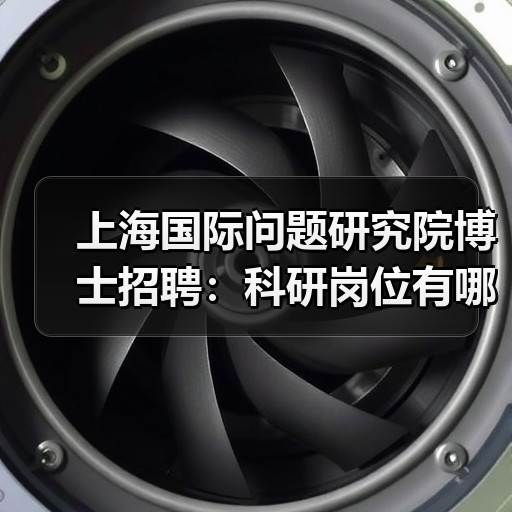 上海国际问题研究院博士招聘：科研岗位有哪些方向？-图6