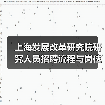 上海发展改革研究院研究人员招聘流程与岗位解析-图4