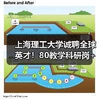上海理工大学诚聘全球英才！80教学科研岗+60博士后岗位火热招募中-图4