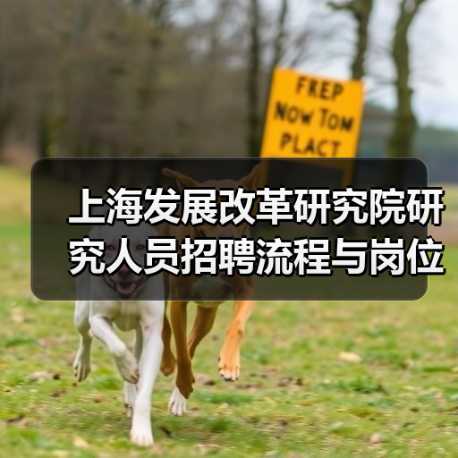 上海发展改革研究院研究人员招聘流程与岗位解析-图5